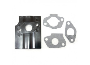 Kit joint carburateur tondeuse ggp 118550699/0